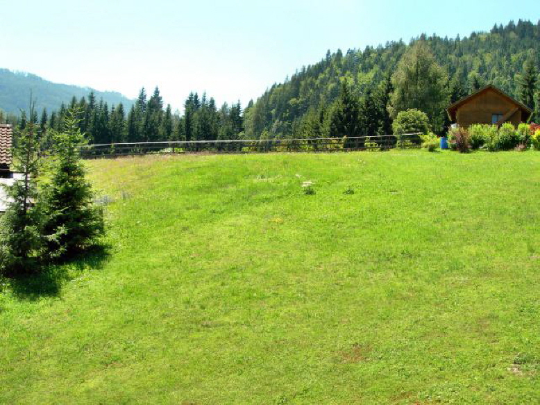 Ausblick Wohnzimmer