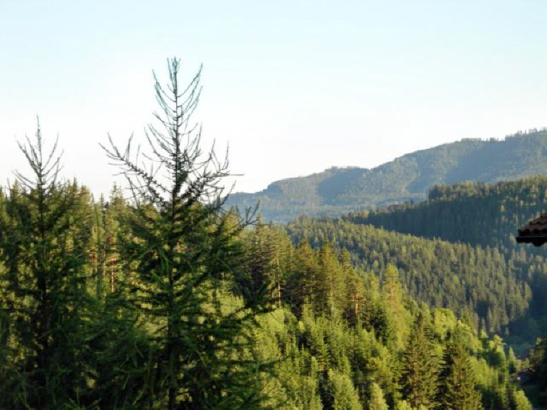 Ausblick v. Balkon